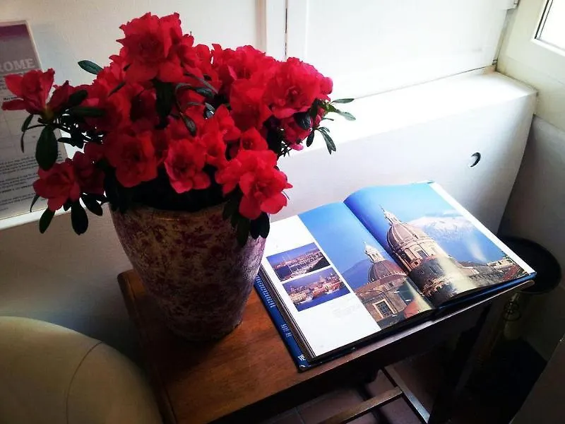 Hotel New Paradise Rome